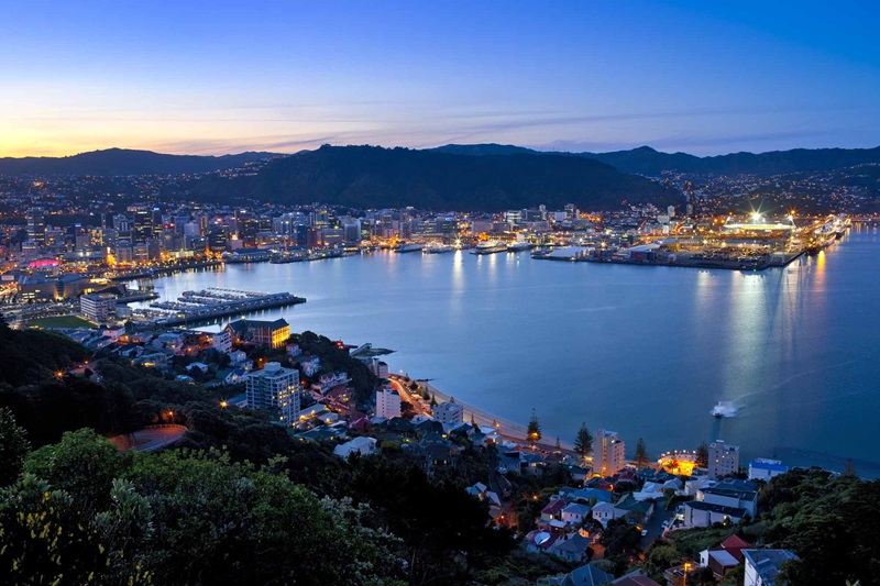 Navigating Wellington's Adult Services: A Guide to Operational Locations